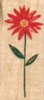 Long Stem Daisy - Rubber Stamp