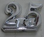 Silver Flatback '25'