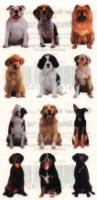 Dog Sticker Pack - 24 Mini Dogs