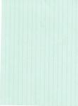 Glitter Stripes A4 Card - Mint